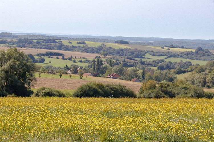 Le Chemin des Fruitiers à Wiesviller