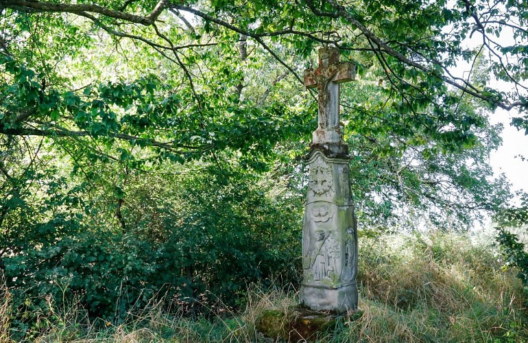 Le Chemin des Fruitiers à Wiesviller