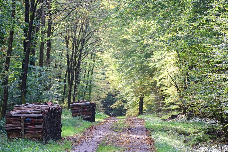 Circuit Sur les traces des Spiritains