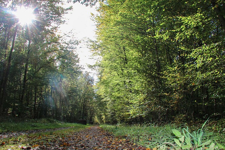 Circuit Sur les traces des Spiritains