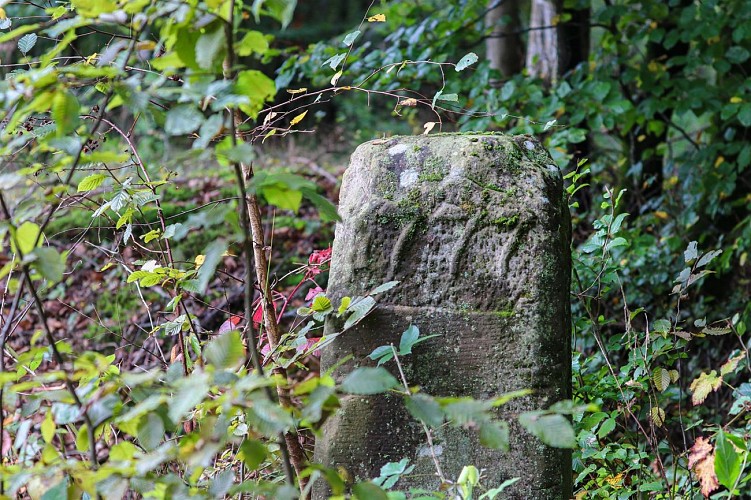Circuit Sur les traces des Spiritains