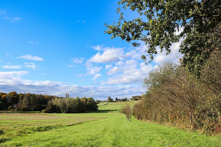 Sur les traces des Spiritains