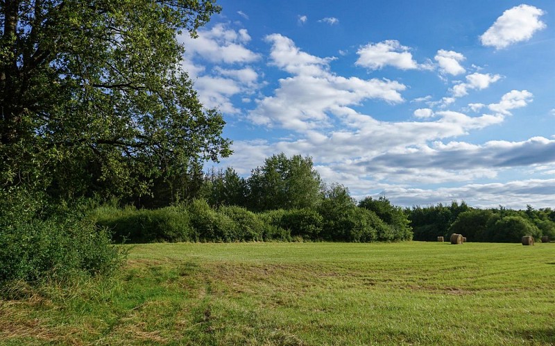 Circuit Tourbières et Marais