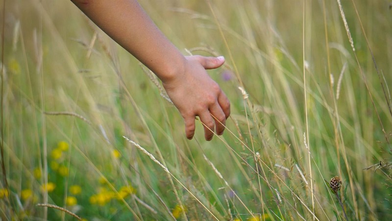 Circuit Tourbières et Marais