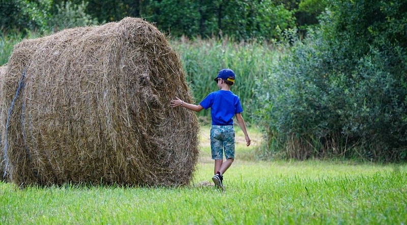 Circuit Tourbières et Marais