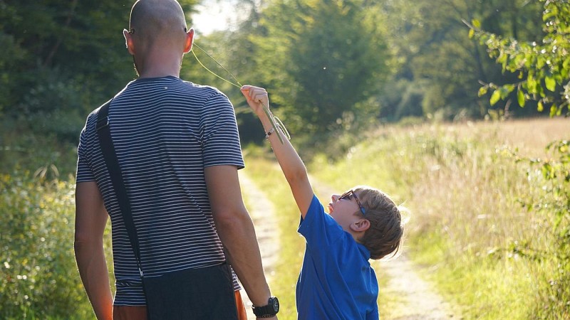 Circuit Tourbières et Marais