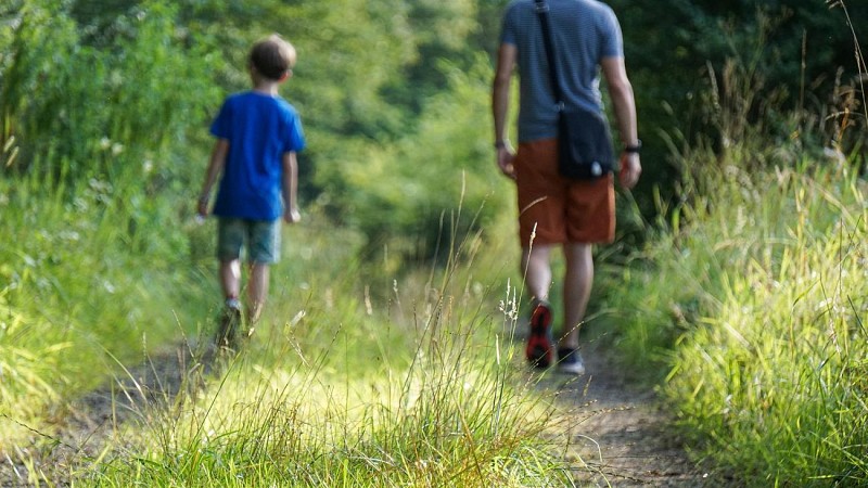 Circuit Tourbières et Marais