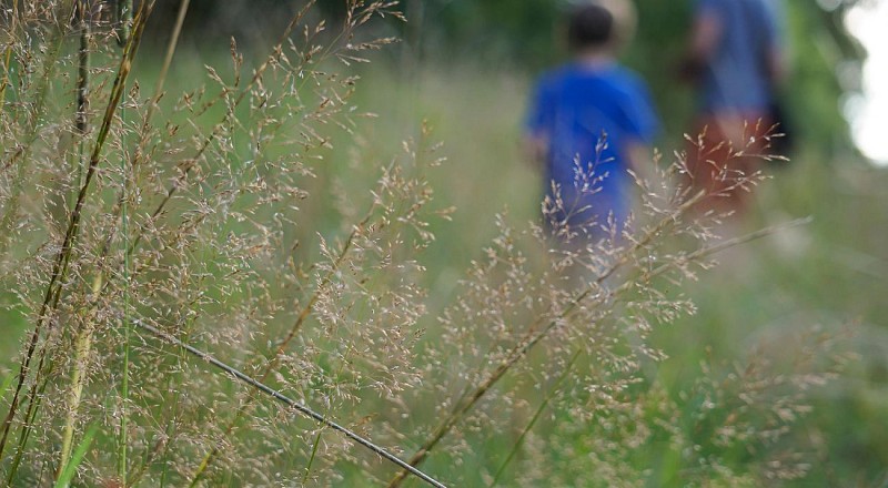 Circuit Tourbières et Marais