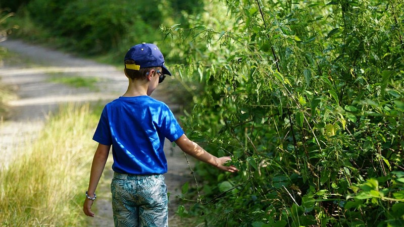 Circuit Tourbières et Marais