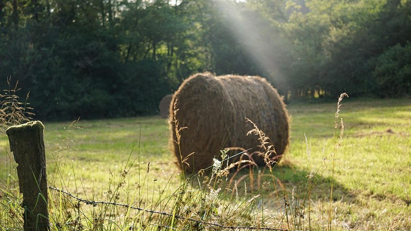 Circuit Tourbières et Marais