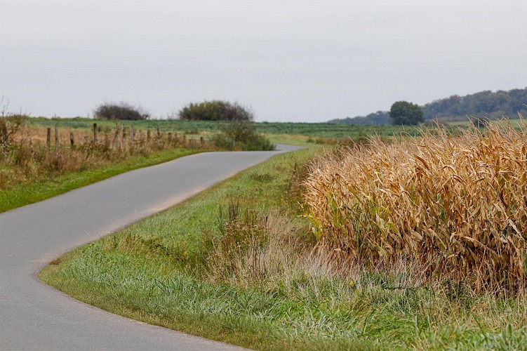 Circuit De la ferme aux paturages