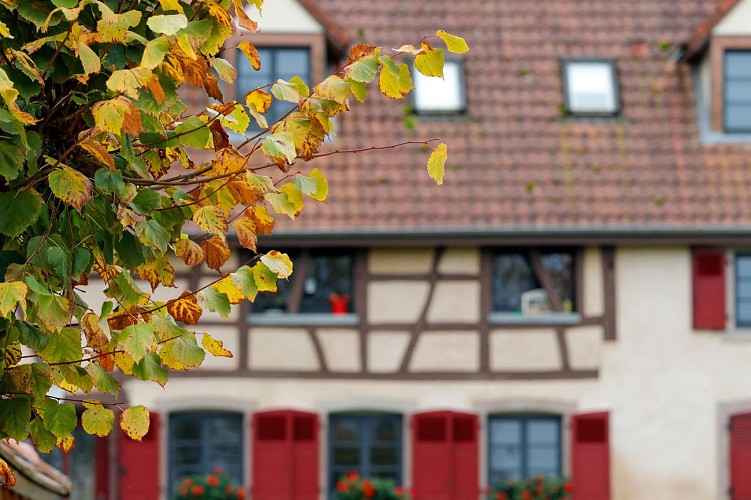 Circuit De la ferme aux paturages