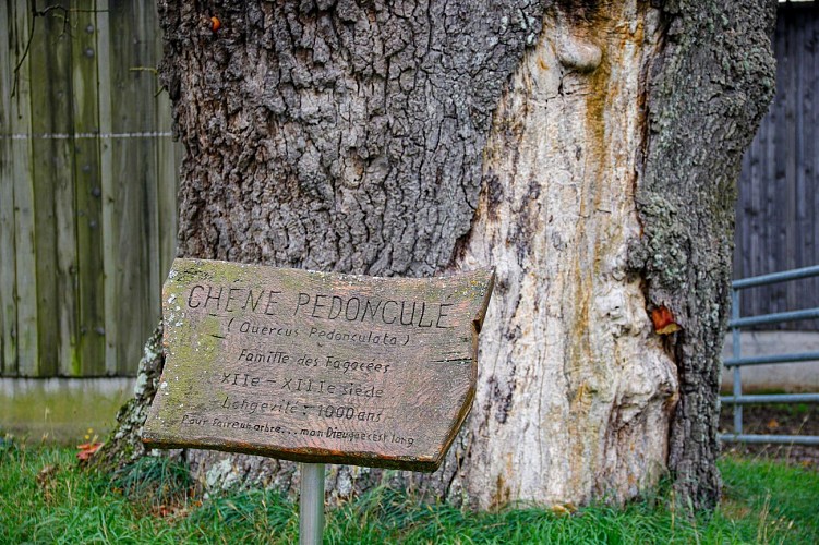 Circuit De la ferme aux paturages