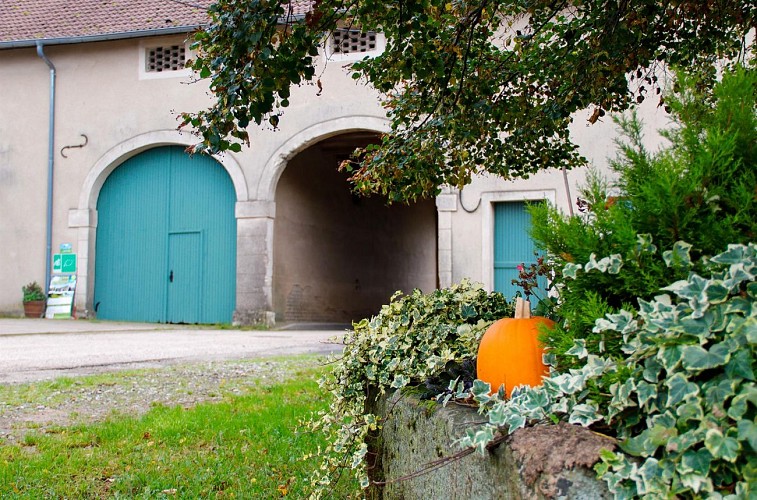 Circuit De la ferme aux paturages