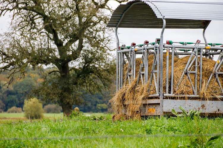 Circuit De la ferme aux paturages