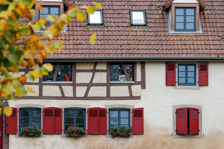 Circuit Colchiques et Marais