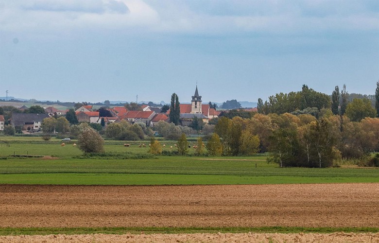 Circuit Colchiques et Marais