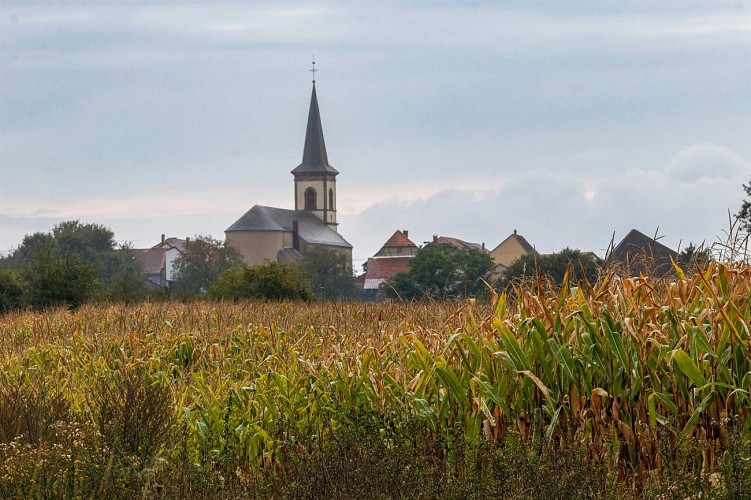 Circuit Colchiques et Marais