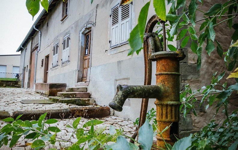 Circuit Colchiques et Marais