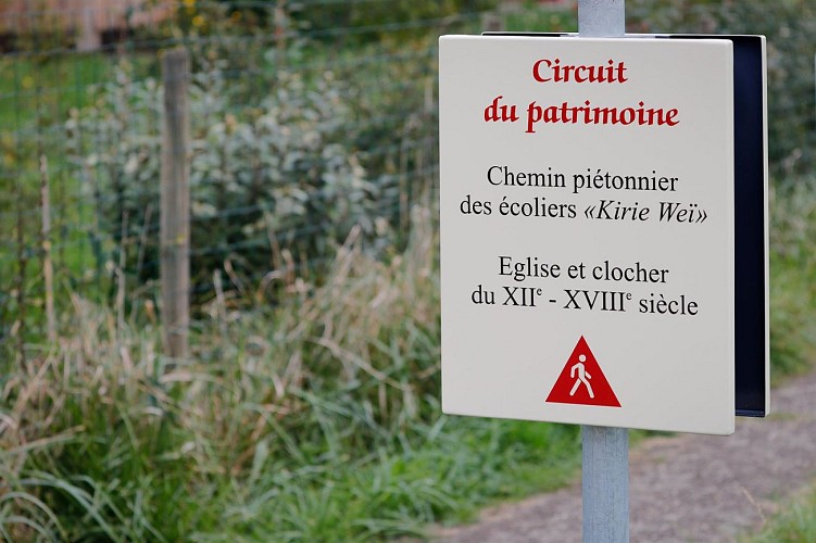 Circuit Colchiques et Marais