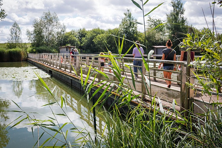 circuit Le tour de l'Étang du Welschhof