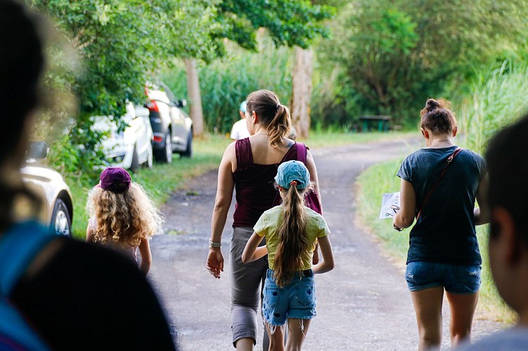 circuit Le tour de l'Étang du Welschhof