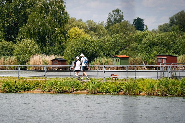 circuit Le tour de l'Étang du Welschhof