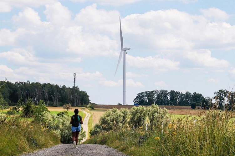 Circuit Au pied des éoliennes