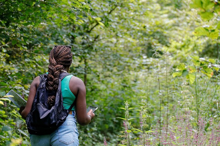 Circuit Au pied des éoliennes