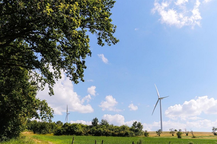 Circuit Au pied des éoliennes