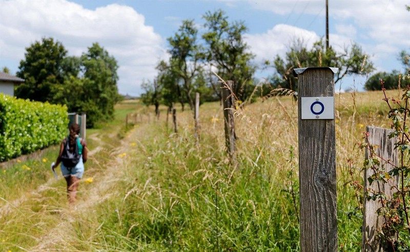 Circuit Au pied des éoliennes