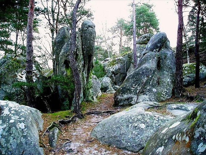 Rochers de Buthiers (2)
