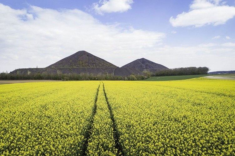 EuroVelo 5 De Bruay-la-Buissière à Wingles