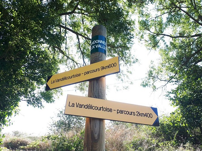La Vandélicourtoise