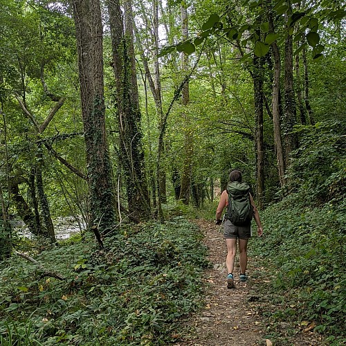 Vers Laguépie sur le GR36