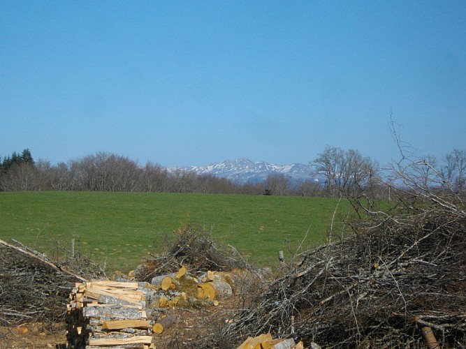 POIS2_Confolent_Sancy_HCC_GSalat