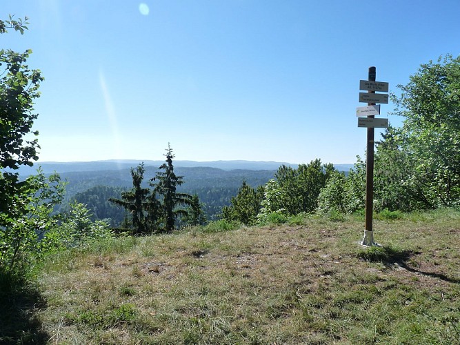 Sommet des Monts d'Ain