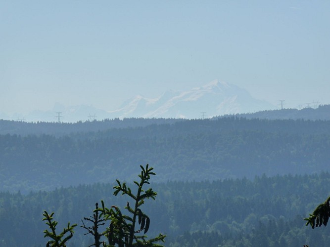 Panorama du Mont Blanc