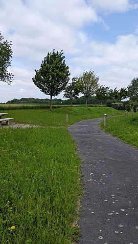 Voie verte Saulty Dainville