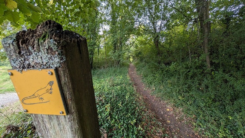 Signalétique circuiit Mont Bossu