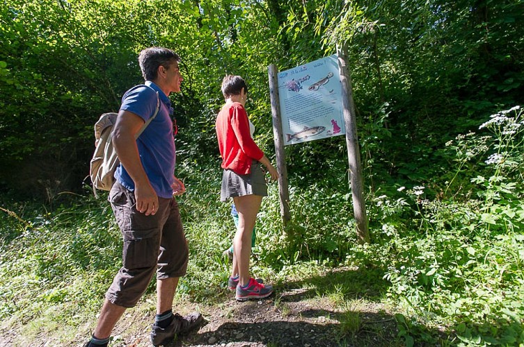Sentier de la Sarsouille2