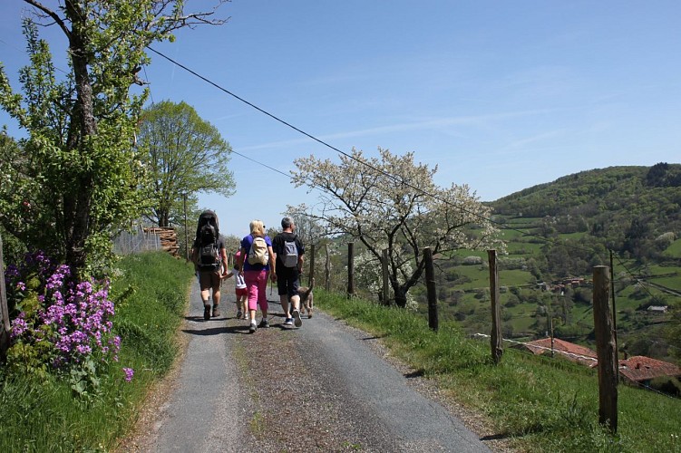 Randonnée pédestre "Les Terres de Barmont"_Yzeron