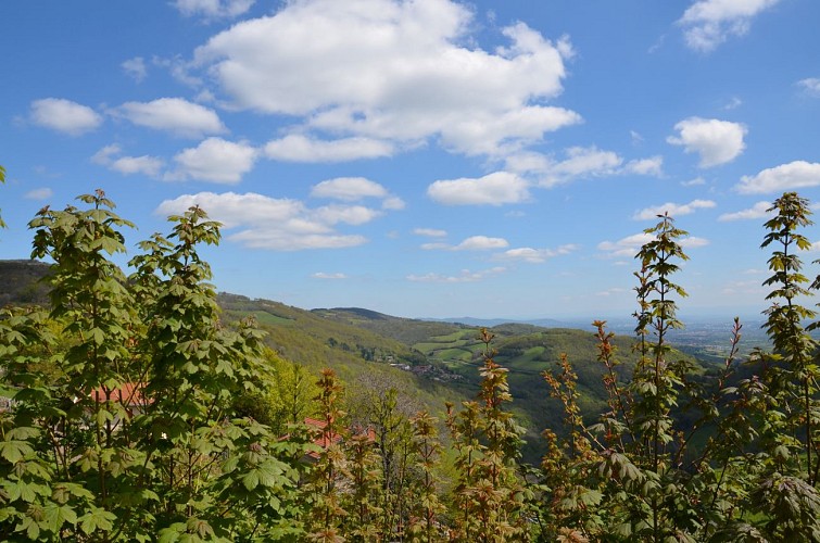 Randonnée pédestre "Les Terres de Barmont"_Yzeron