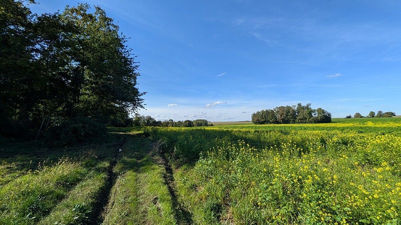 La Cense Madame II à Lierval