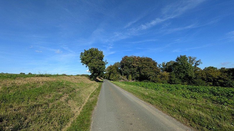 RD 90 au-dessus de Lierval