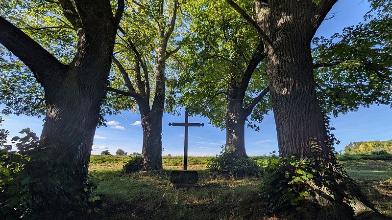Calvaire à Lierval