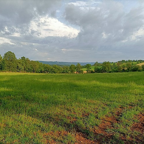 Vue sur la campagne