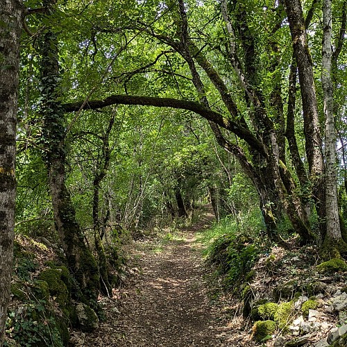 Chemin de randonnée