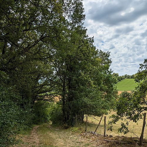 Chemin de randonnée