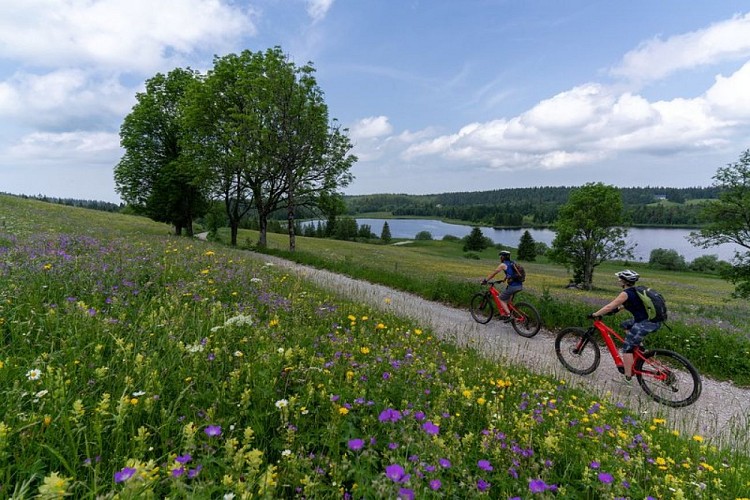 VTTAE (VTT électrique)au lac de Bellefontaine